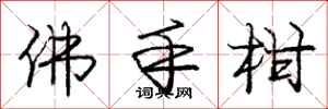 庞中华佛手柑行书怎么写