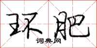 庞中华环肥行书怎么写