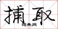 庞中华捕取行书怎么写