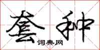 庞中华套种行书怎么写