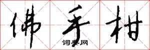 钱沛云佛手柑行书怎么写