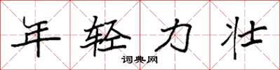 袁强年轻力壮楷书怎么写