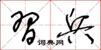王冬龄习兵草书怎么写