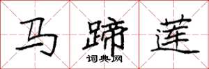 袁强马蹄莲楷书怎么写