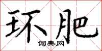 丁谦环肥楷书怎么写