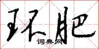 钱沛云环肥行书怎么写
