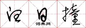 王冬龄白日撞草书怎么写