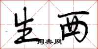 曾庆福生西行书怎么写