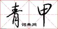 钱沛云青甲行书怎么写