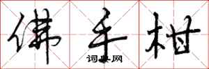 曾庆福佛手柑行书怎么写