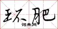 曾庆福环肥行书怎么写