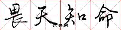 曾庆福畏天知命行书怎么写