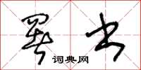 王冬龄署书草书怎么写