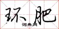 荆霄鹏环肥行书怎么写
