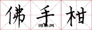 何伯昌佛手柑楷书怎么写