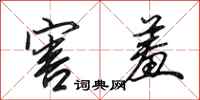 田英章害羞行书怎么写