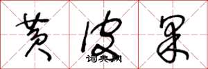王冬龄黄皮果草书怎么写