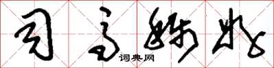 刘少英司马称好草书怎么写