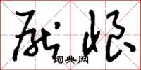 刘少英厌恨草书怎么写