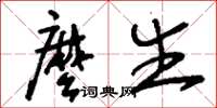刘少英么生草书怎么写