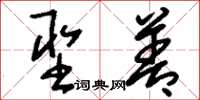 刘少英圣善草书怎么写
