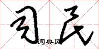 刘少英司民草书怎么写