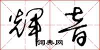 王冬龄辉音草书怎么写