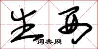 刘少英生西草书怎么写