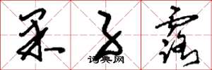 刘少英果子露草书怎么写
