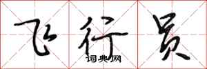 段相林飞行员行书怎么写