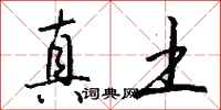 钱沛云真土行书怎么写