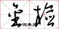刘少英金检草书怎么写