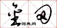 刘少英金田草书怎么写