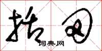 刘少英括田草书怎么写