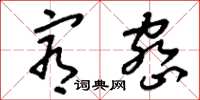 刘少英宥密草书怎么写