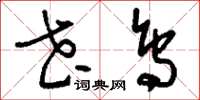 刘少英花鸟草书怎么写