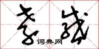 刘少英孝感草书怎么写