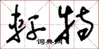 刘少英轩特草书怎么写