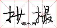 段相林抄撮行书怎么写