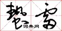 刘少英蛰雷草书怎么写