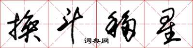 朱锡荣换斗移星草书怎么写