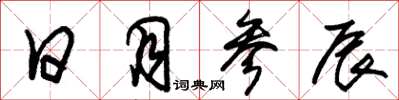 朱锡荣日月参辰草书怎么写