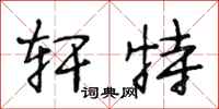 段相林轩特行书怎么写