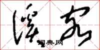 刘少英溪客草书怎么写
