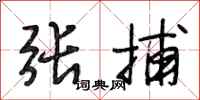 段相林张捕行书怎么写
