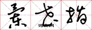 刘少英兰花指草书怎么写