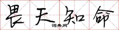 段相林畏天知命行书怎么写