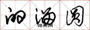 朱锡荣的溜圆草书怎么写