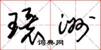 朱锡荣环洲草书怎么写