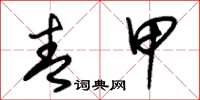 朱锡荣青甲草书怎么写